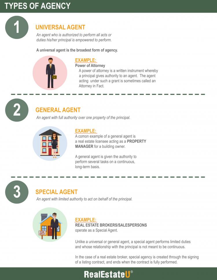 23.2a Types of Agency Infographic.